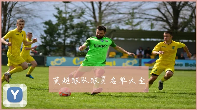 英超球队球员名单大全