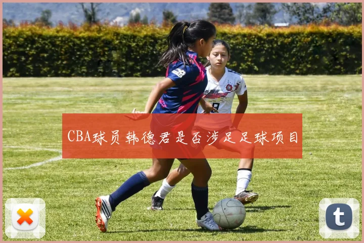 CBA球员韩德君是否涉足足球项目