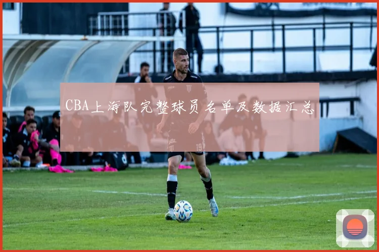 CBA上海队完整球员名单及数据汇总