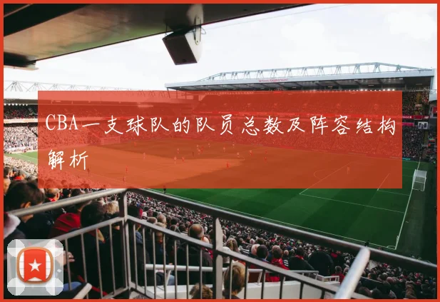 CBA一支球队的队员总数及阵容结构解析