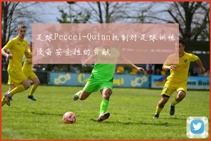 足球Peccei-Quinn机制对足球训练设备安全性的贡献